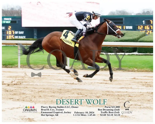 Desert Wolf - 02-10-24 R02 Op Action Oaklawn Park