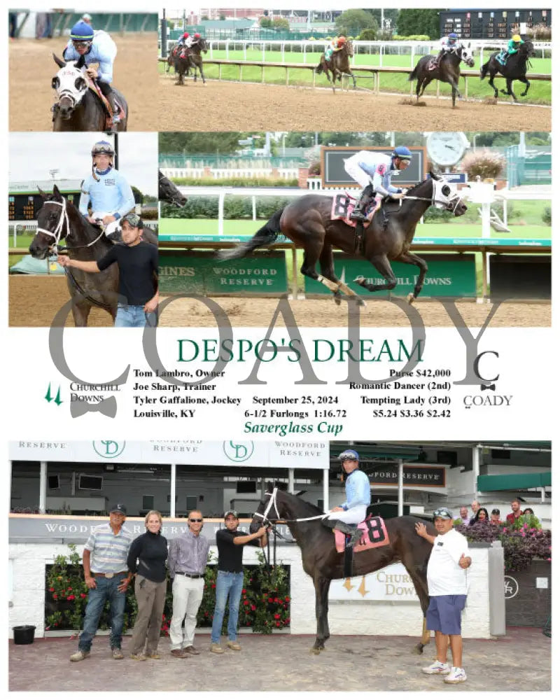Despo’s Dream - 092524 Race 06 Cd Churchill Downs