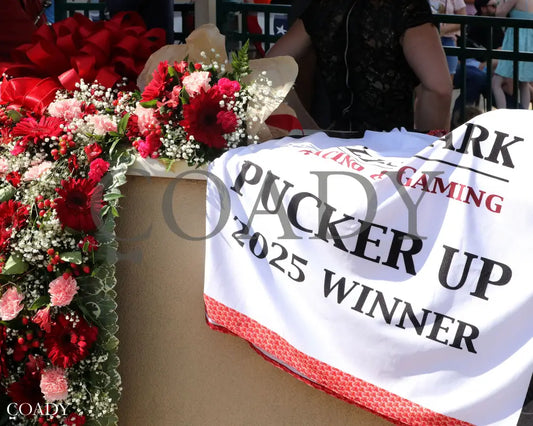 DESTINO D’ORO - The Pucker up G3 - 08-03-25 - R09 - ELP - Blanket 01 Ellis Park
