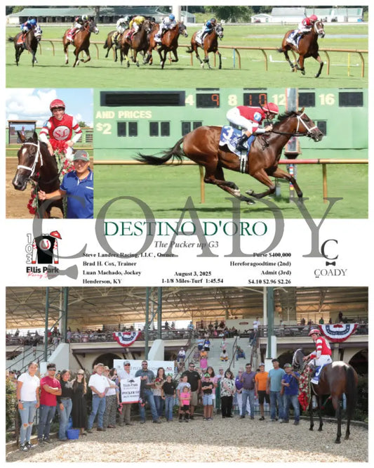 DESTINO D’ORO - The Pucker up G3 - 08-03-25 - R09 - ELP Ellis Park
