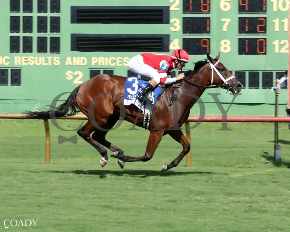 DESTINO D’ORO - The Pucker up G3 - 08-03-25 - R09 - ELP - Finish 01 Ellis Park