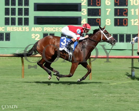 DESTINO D’ORO - The Pucker up G3 - 08-03-25 - R09 - ELP - Finish 01 Ellis Park