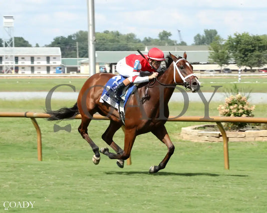 DESTINO D’ORO - The Pucker up G3 - 08-03-25 - R09 - ELP - Finish 02 Ellis Park