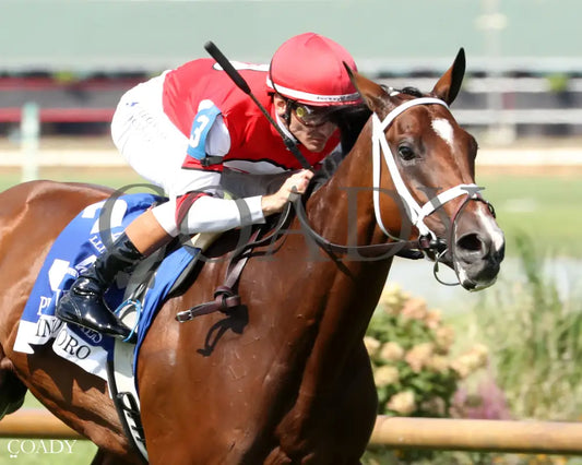 DESTINO D’ORO - The Pucker up G3 - 08-03-25 - R09 - ELP - Finish 04 Ellis Park