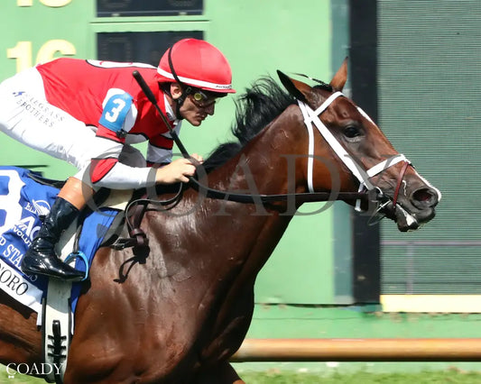 DESTINO D’ORO - The Pucker up G3 - 08-03-25 - R09 - ELP - Finish 03 Ellis Park