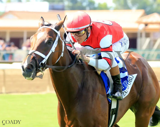 DESTINO D’ORO - The Pucker up G3 - 08-03-25 - R09 - ELP - Inside Finish 01 Ellis Park