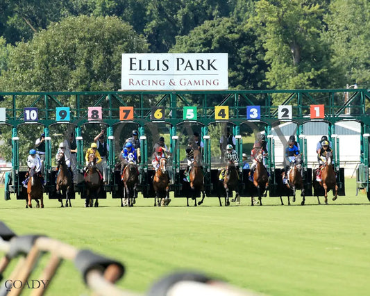DESTINO D’ORO - The Pucker up G3 - 08-03-25 - R09 - ELP - Start 01 Ellis Park