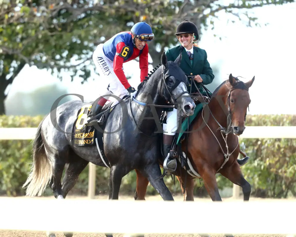 DESVIO - The Sycamore G2 - 31st Running - 10-10-25 - R09 - KEE - Come Back 01 Keeneland