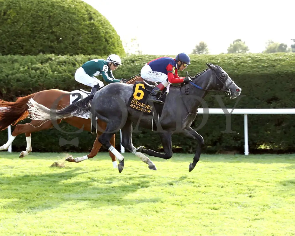 DESVIO - The Sycamore G2 - 31st Running - 10-10-25 - R09 - KEE - Finish 01 Keeneland