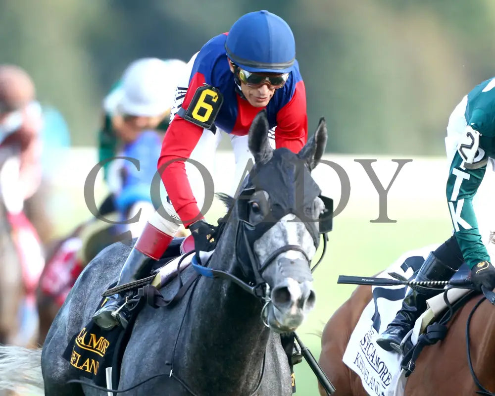 DESVIO - The Sycamore G2 - 31st Running - 10-10-25 - R09 - KEE - Gallop Out 01 Keeneland