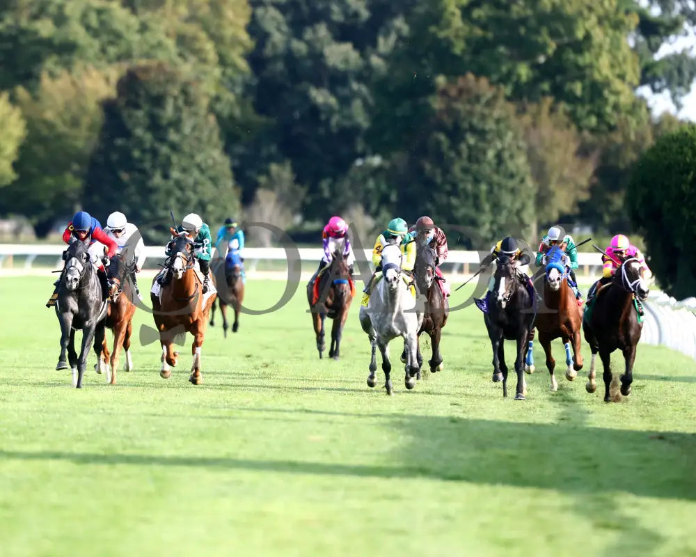 DESVIO - The Sycamore G2 - 31st Running - 10-10-25 - R09 - KEE - Head On 01 Keeneland