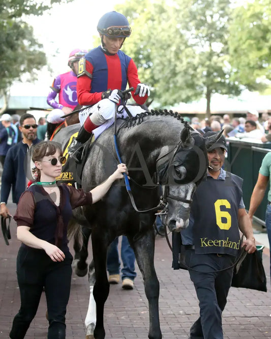 DESVIO - The Sycamore G2 - 31st Running - 10-10-25 - R09 - KEE - Paddock 01 Keeneland