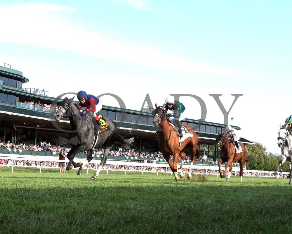 DESVIO - The Sycamore G2 - 31st Running - 10-10-25 - R09 - KEE - Under Rail 01 Keeneland