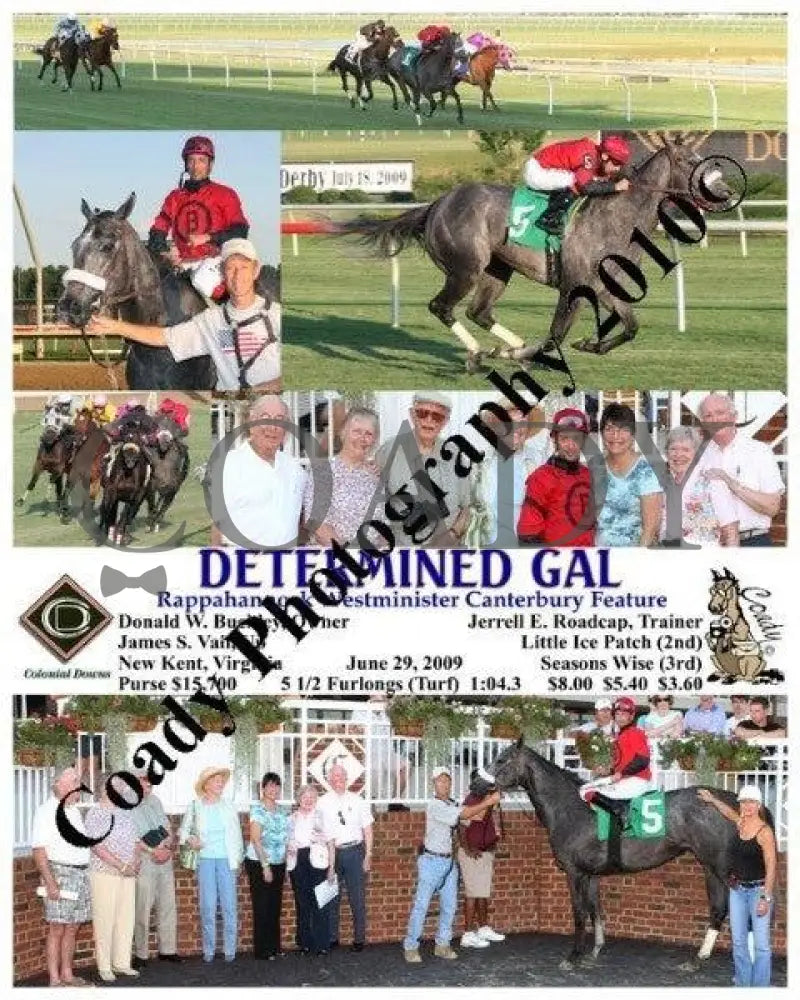 Determined Gal - Rappahannock Westminister Cante Colonial Downs
