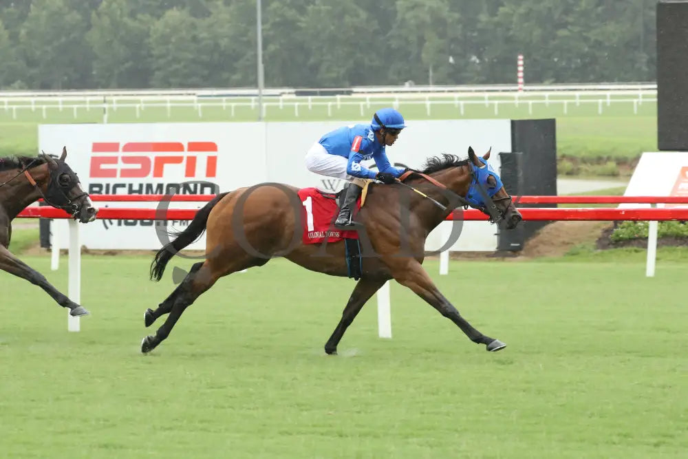 Determined Kingdom - The Punch Line Stakes 07-20-24 R06 Colonial Downs Finish Mark Flanders.jpg