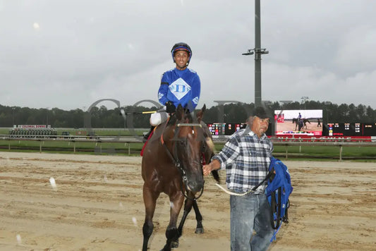 Determined Kingdom - The Punch Line Stakes 07-20-24 R06 Colonial Downs Return Shot.jpg