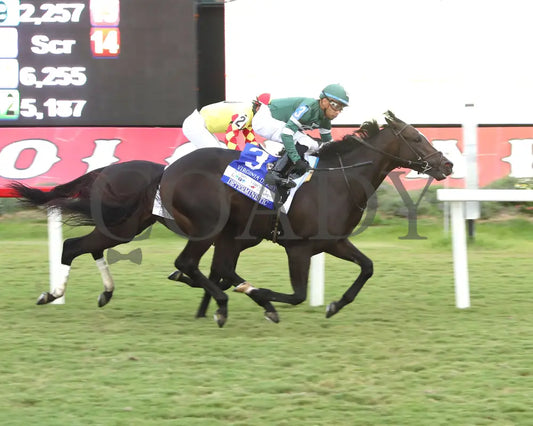 Deterministic - The New Kent County Virginia Derby 09-07-24 R10 Cnl Finish 01 Colonial Downs