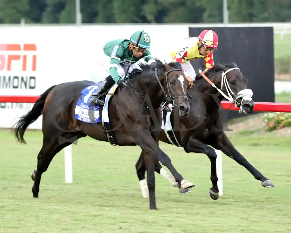 Deterministic - The New Kent County Virginia Derby 09-07-24 R10 Cnl Finish 03 Colonial Downs