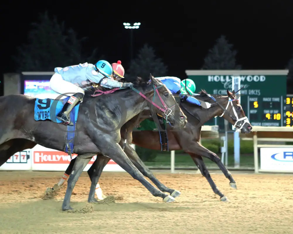 Diakonissa - West Virginia Triple Crown Nutrition Breeders Classic 10-12-24 R05 Ct Finish 01