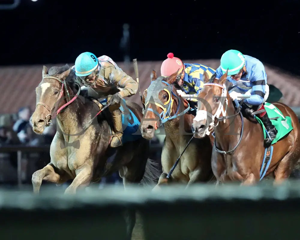 Diakonissa - West Virginia Triple Crown Nutrition Breeders Classic 10-12-24 R05 Ct Inside Finish 01