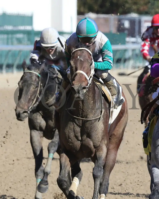 Dial Me - 11-03-19 R01 Cd Churchill Downs