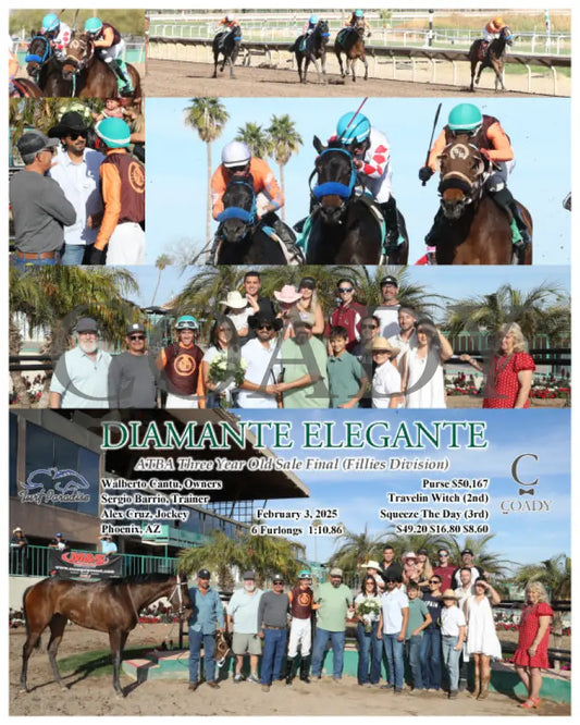 Diamante Elegante - Atba Three Year Old Sale Final (Fillies Division) 02-03-25 R07 Tup Turf Paradise