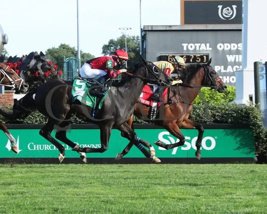 Diamond Oops - Twin Spires Turf Sprint G2 26Th Running 09-04-20 R13 Cd Finish 01 Churchill Downs