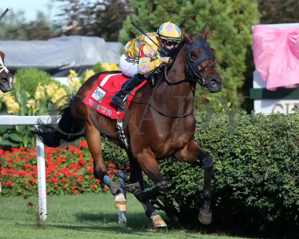 Diamond Oops - Twin Spires Turf Sprint G2 26Th Running 09-04-20 R13 Cd Finish 02 Churchill Downs