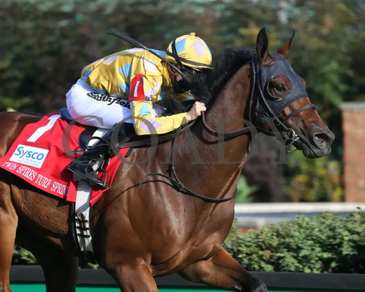 Diamond Oops - Twin Spires Turf Sprint G2 26Th Running 09-04-20 R13 Cd Finish 03 Churchill Downs