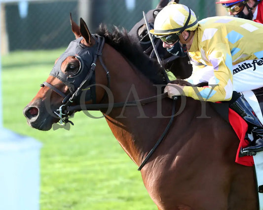 Diamond Oops - Twin Spires Turf Sprint G2 26Th Running 09-04-20 R13 Cd Inside Finish 01 Churchill