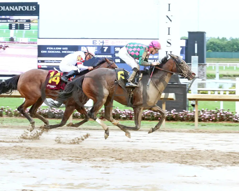 Diamond Solitaire - Checkered Flag 28Th Running 06-26-24 R07 Horseshoe Indiana Finish 01 Sammantha