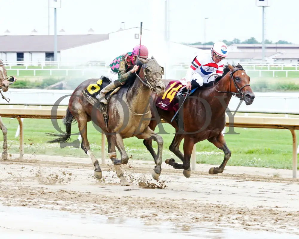 Diamond Solitaire - Checkered Flag 28Th Running 06-26-24 R07 Horseshoe Indiana Finish 02 Sammantha