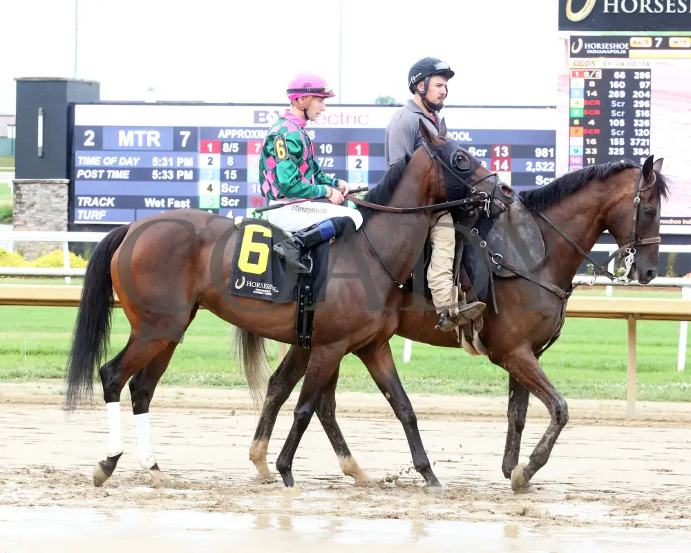 Diamond Solitaire - Checkered Flag 28Th Running 06-26-24 R07 Horseshoe Indiana Post Parade 01