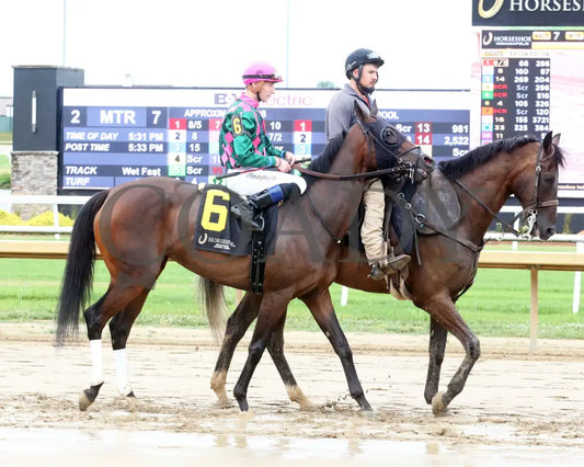 Diamond Solitaire - Checkered Flag 28Th Running 06-26-24 R07 Horseshoe Indiana Post Parade 01