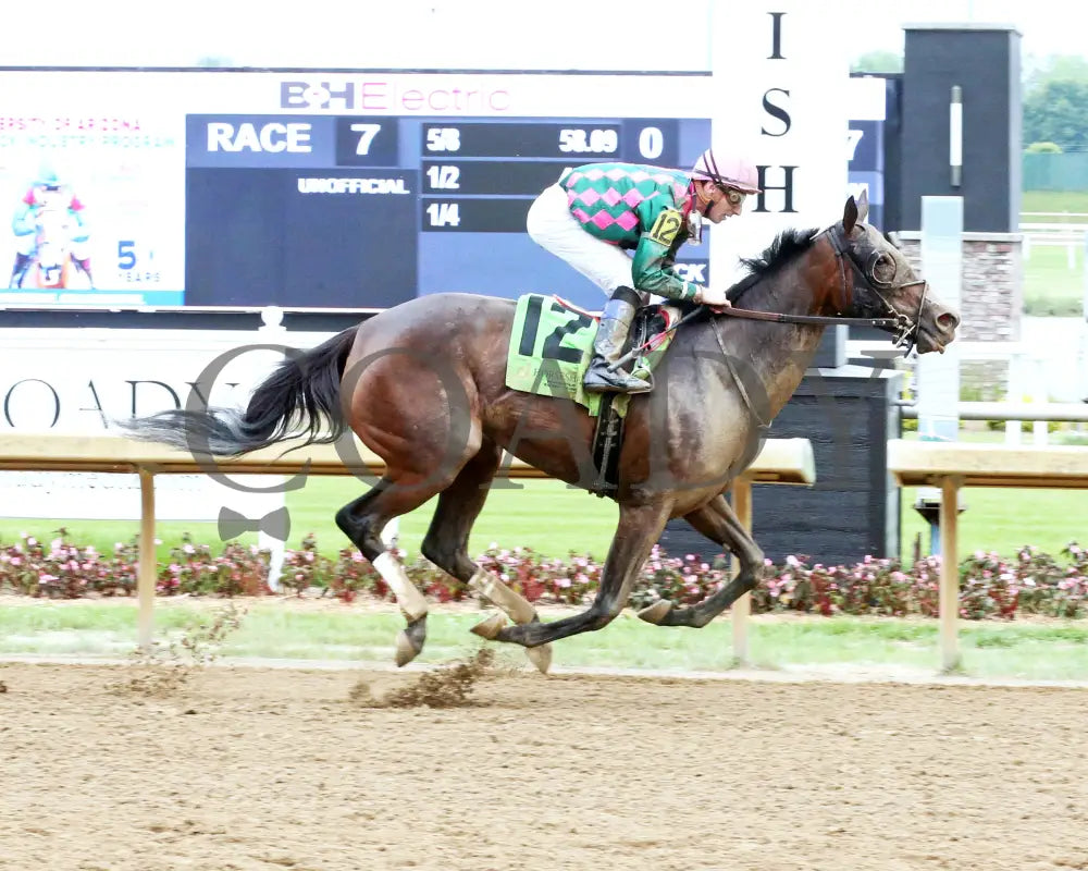Diamond Solitaire - Shelby County 20Th Running 06-05-24 R07 Horseshoe Indiana Finish 01 Sammantha