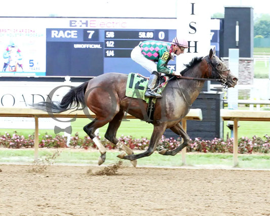 Diamond Solitaire - Shelby County 20Th Running 06-05-24 R07 Horseshoe Indiana Finish 01 Sammantha