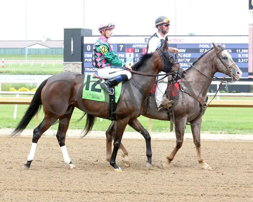 Diamond Solitaire - Shelby County 20Th Running 06-05-24 R07 Horseshoe Indiana Post Parade 01