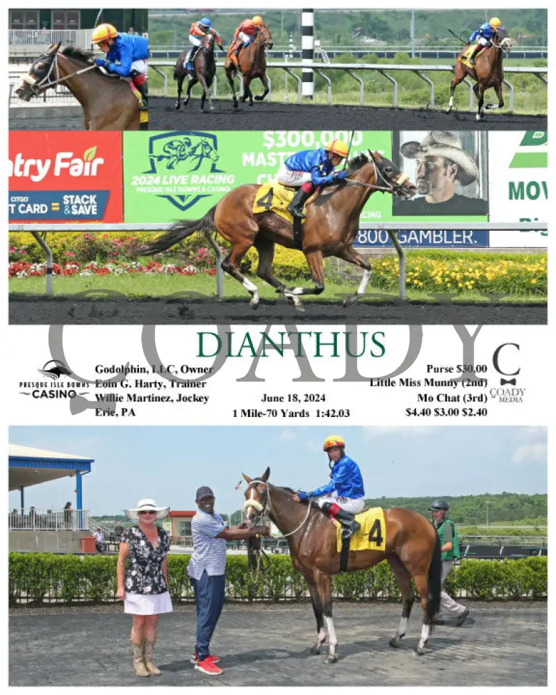 Dianthus - 06-18-24 R05 Pid Presque Isle Downs