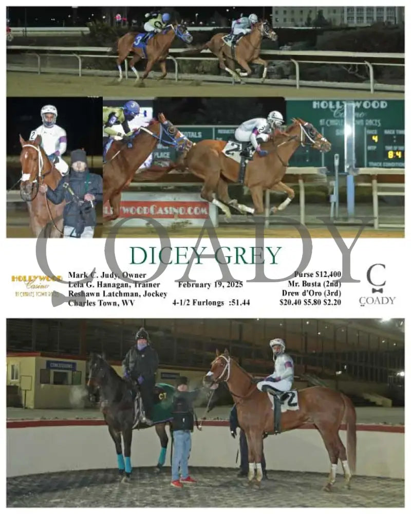 DICEY GREY - 02-19-25 - R04 - CT Hollywood Casino at Charles Town Races