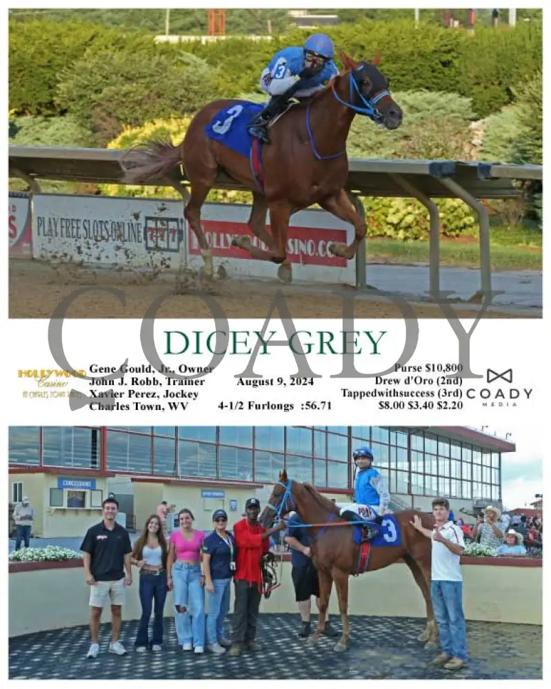 Dicey Grey - 08-09-24 R01 Ct Hollywood Casino At Charles Town Races
