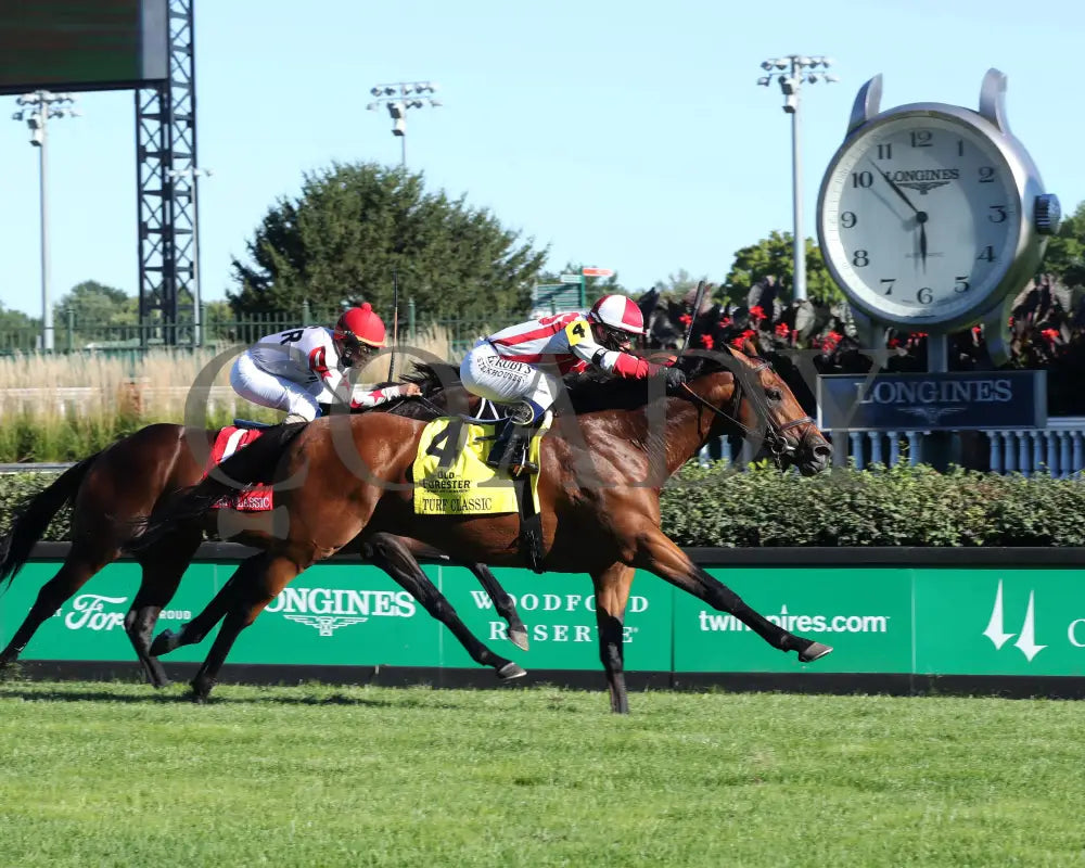 Digital Age - Old Forester Bourbon Turf Classic 34Th Running 09-05-20 R13 Cd Finish 01 Churchill