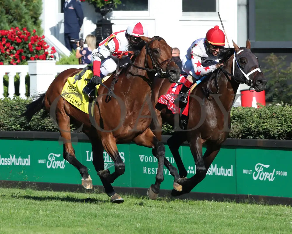 Digital Age - Old Forester Bourbon Turf Classic 34Th Running 09-05-20 R13 Cd Finish 02 Churchill