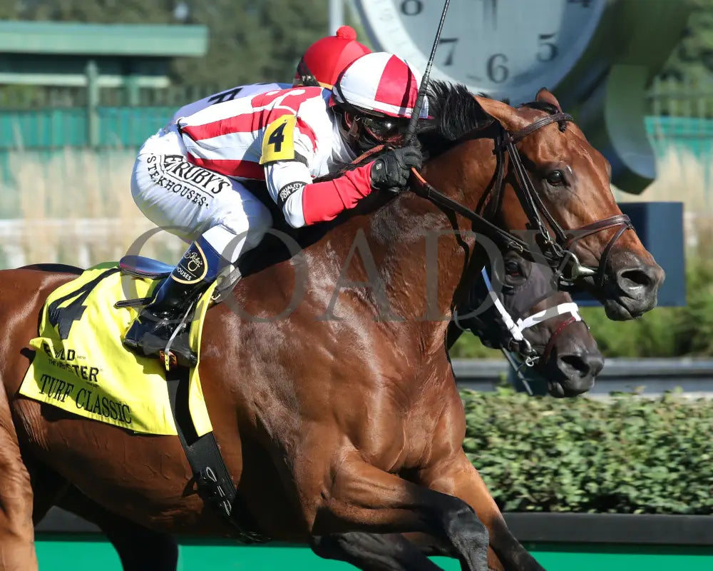 Digital Age - Old Forester Bourbon Turf Classic 34Th Running 09-05-20 R13 Cd Finish 03 Churchill