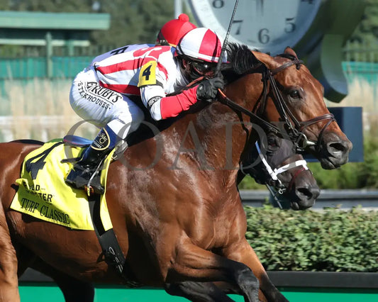 Digital Age - Old Forester Bourbon Turf Classic 34Th Running 09-05-20 R13 Cd Finish 03 Churchill