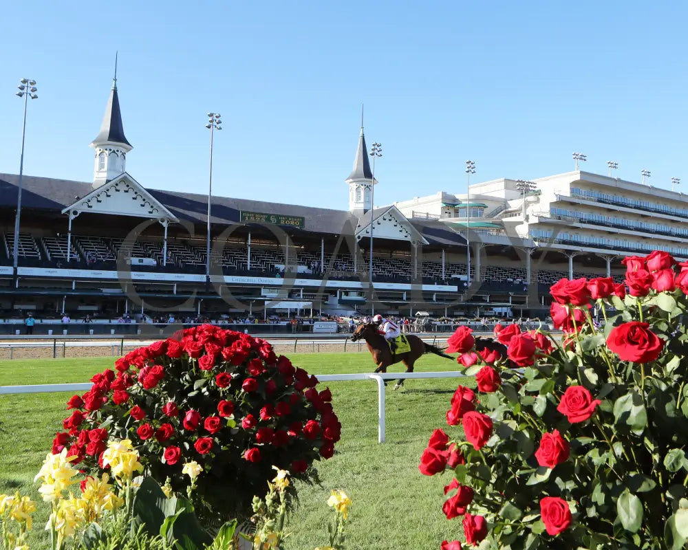 Digital Age - Old Forester Bourbon Turf Classic 34Th Running 09-05-20 R13 Cd Inside Finish 01