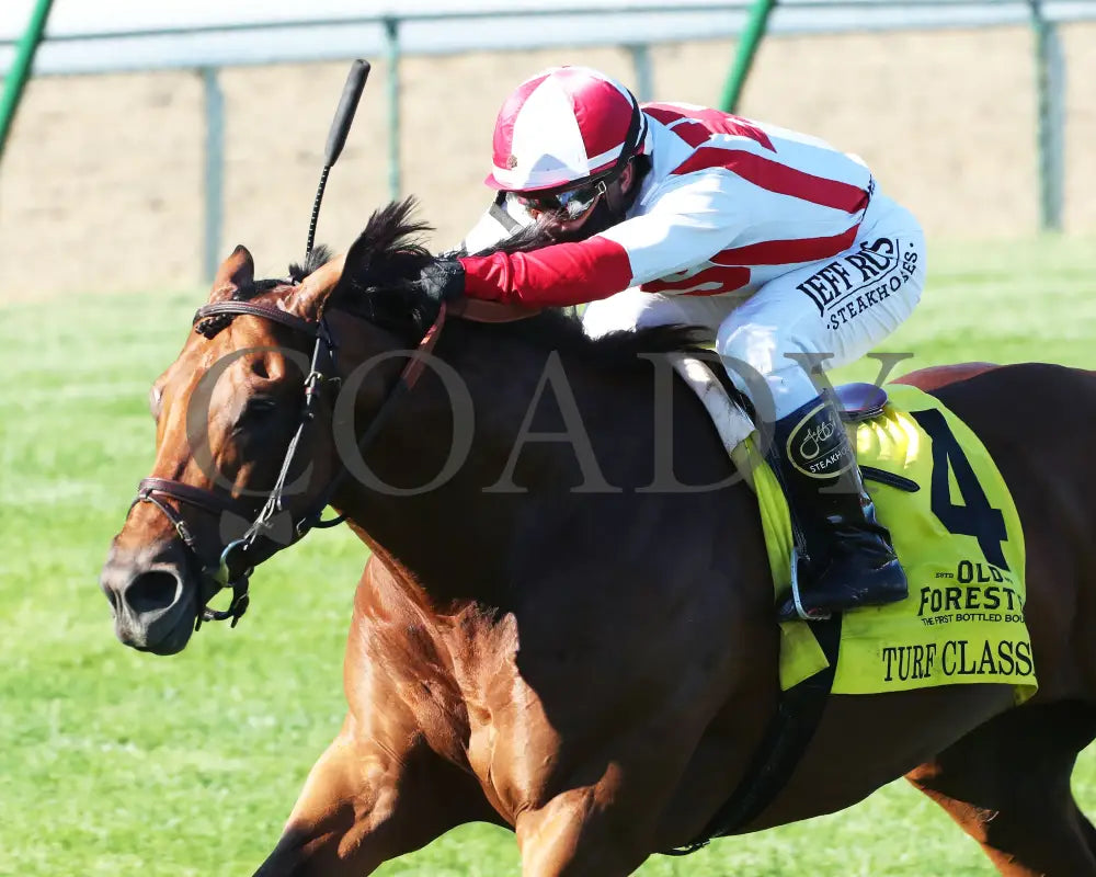 Digital Age - Old Forester Bourbon Turf Classic 34Th Running 09-05-20 R13 Cd Inside Finish 03