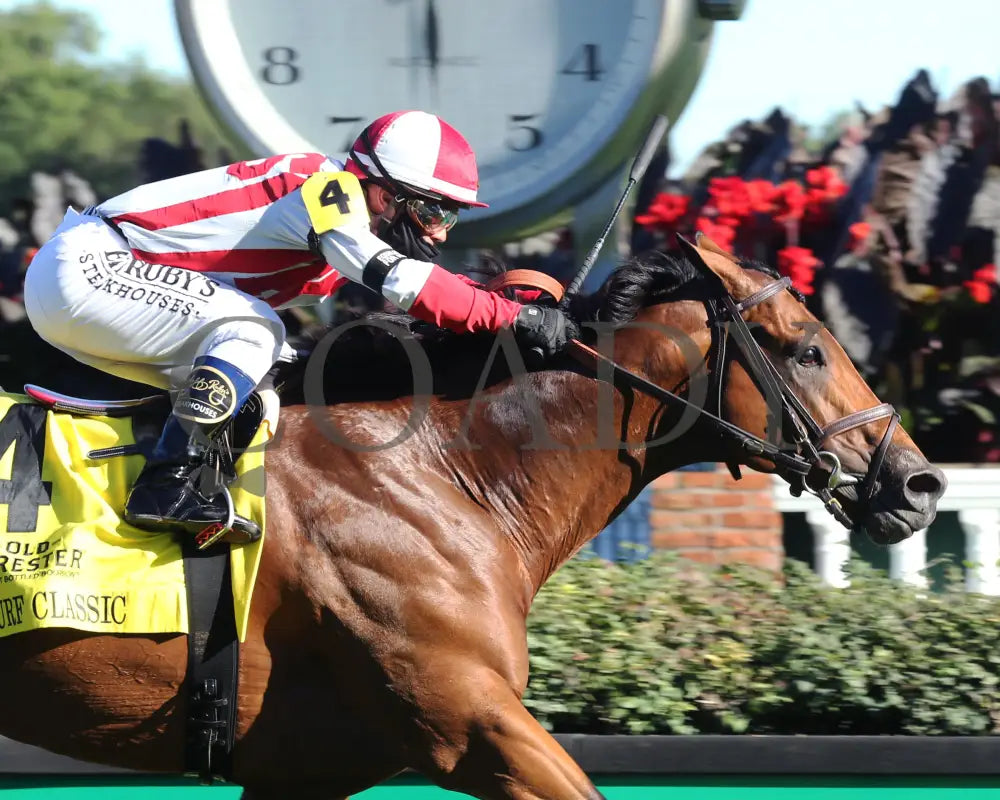 Digital Age - Old Forester Bourbon Turf Classic 34Th Running 09-05-20 R13 Cd Tight Finish 01