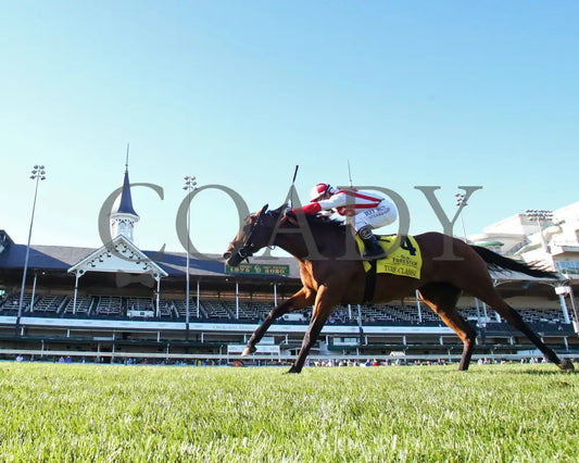 Digital Age - Old Forester Bourbon Turf Classic 34Th Running 09-05-20 R13 Cd Under Rail 02