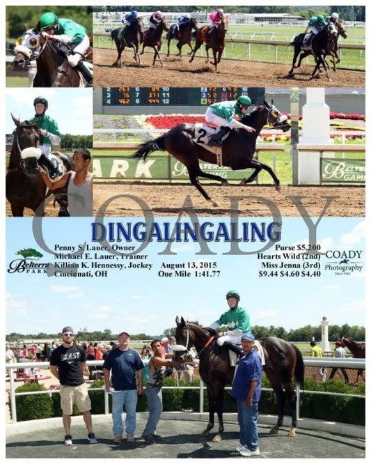 Dingalingaling - 081315 Race 03 Btp Belterra Park
