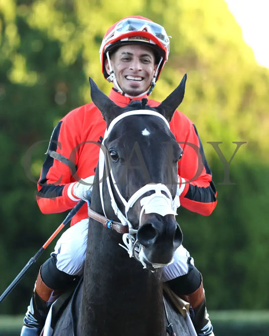 DIRTY RICH - Advent Stakes - 12-12-25 - R08 - OP - Come Back 01 - Coady Media - Kurtis Coady Photography